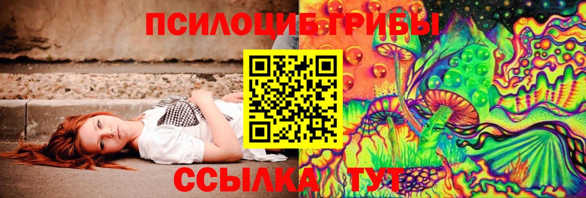 Галлюциногенные грибы MAGIC MUSHROOMS  Вход с VPN  наркошоп  Жуковский 